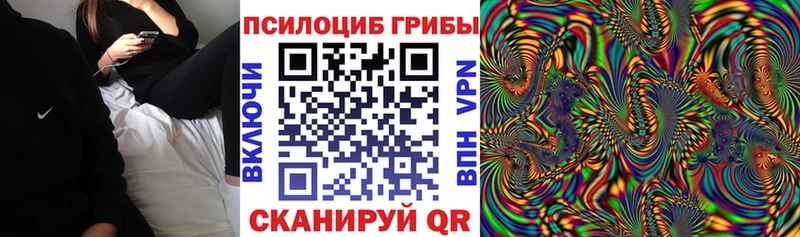 Псилоцибиновые грибы GOLDEN TEACHER  купить закладку  блэк спрут tor  Нарткала 