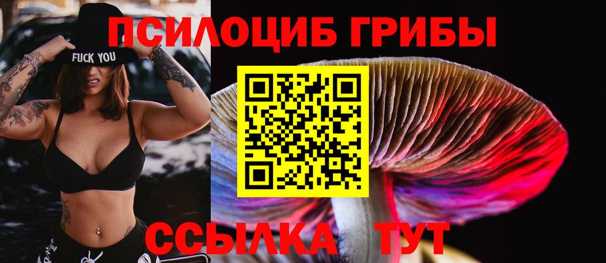 Галлюциногенные грибы мицелий  Нарткала  где найти наркотики  Галлюциногенные грибы Psilocybine cubensis 
